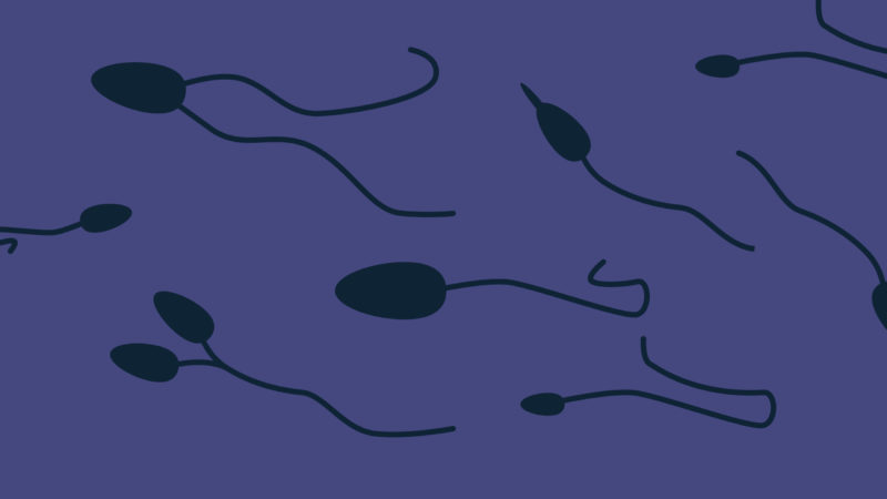 verschiedene Spermien